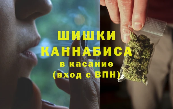 PSILOCYBIN Киренск