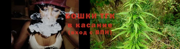 PSILOCYBIN Киренск