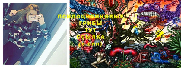 a pvp Киреевск