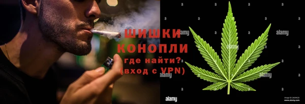 PSILOCYBIN Киренск